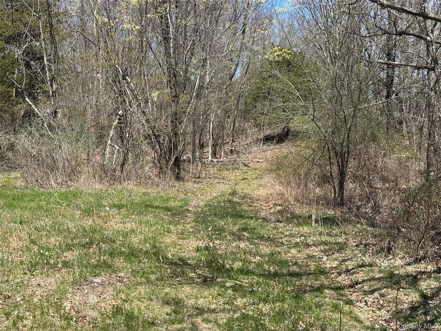 0 County Route 10 unit KEY842732, Ancram, NY 12502 - photo 1