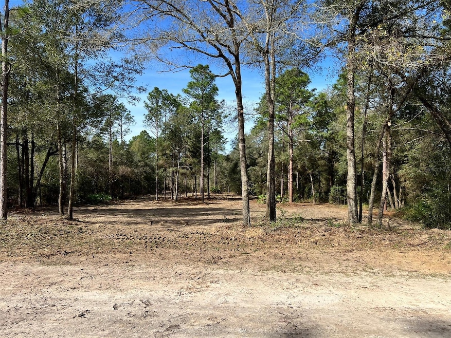 Lot 103 SW 60th Lane Rd, Ocala, FL 34481 - photo 1