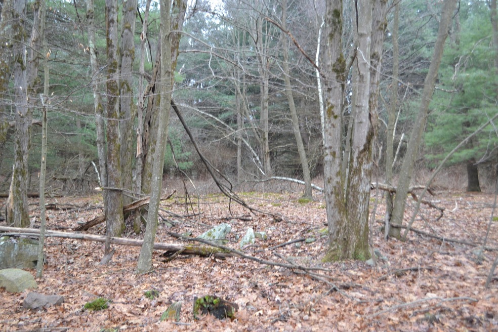 Lot 209 Winter Park Ln, Blooming Grove Township, PA 18464 - photo 1