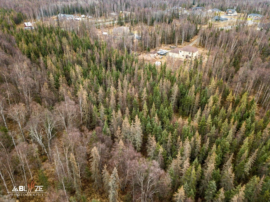 3025 E Paradise Ln, Wasilla, AK 99654 - photo 1
