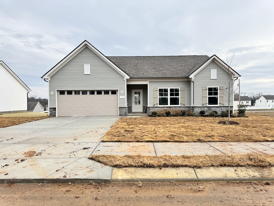 229 Millet St, Shelbyville, TN 37160 - photo 1