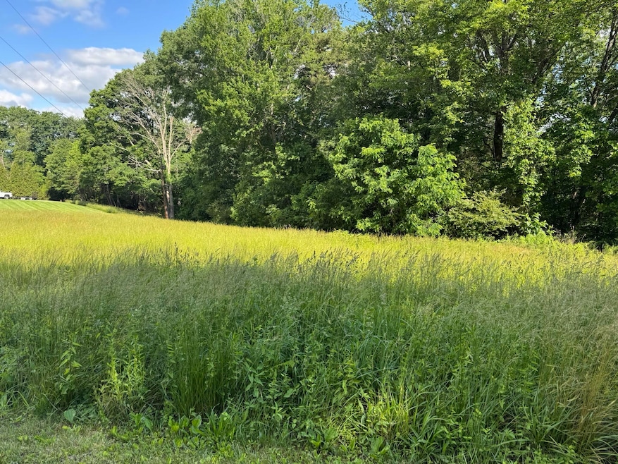 5.22 Acres Green Level Road