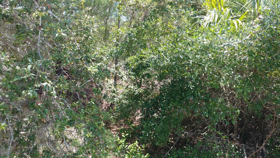 000 Barna Ave, Titusville, FL 32780 - photo 1