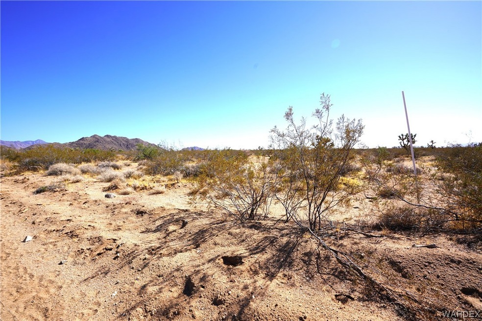 10.06 acres!!! wow!!!
Survey mark in place at the