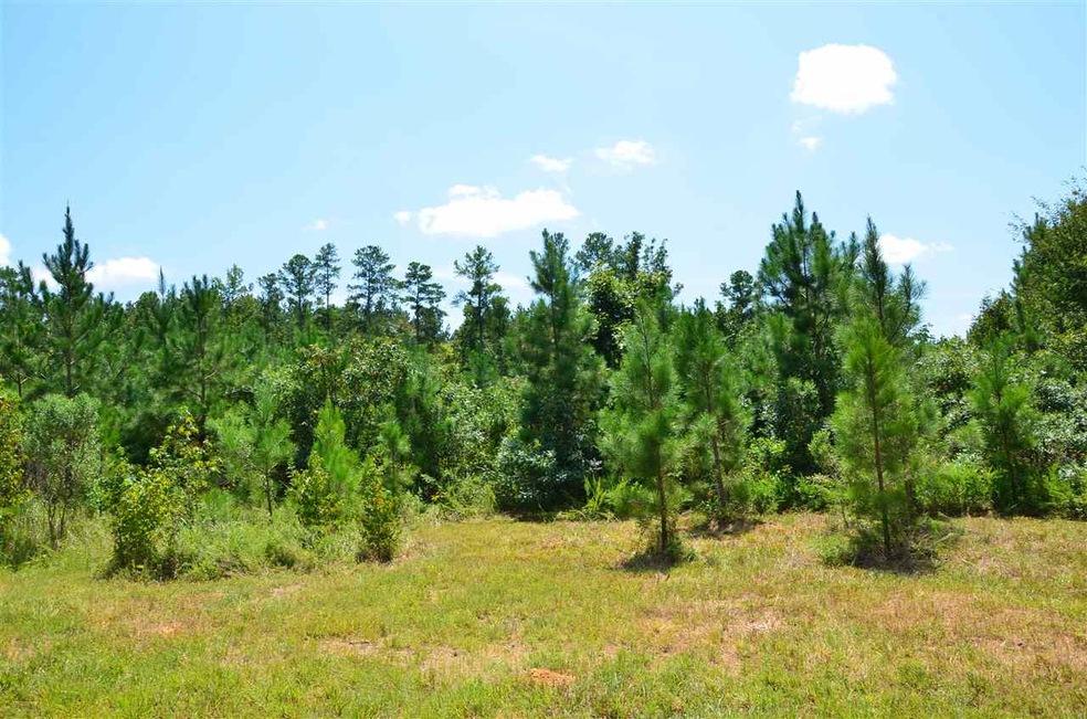 1355 Pete Roberson Rd, Pittsboro, NC 27312 - photo 1