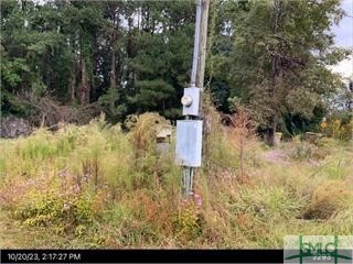 2736 Ga Highway 119 S, Guyton, GA 31312 - photo 1