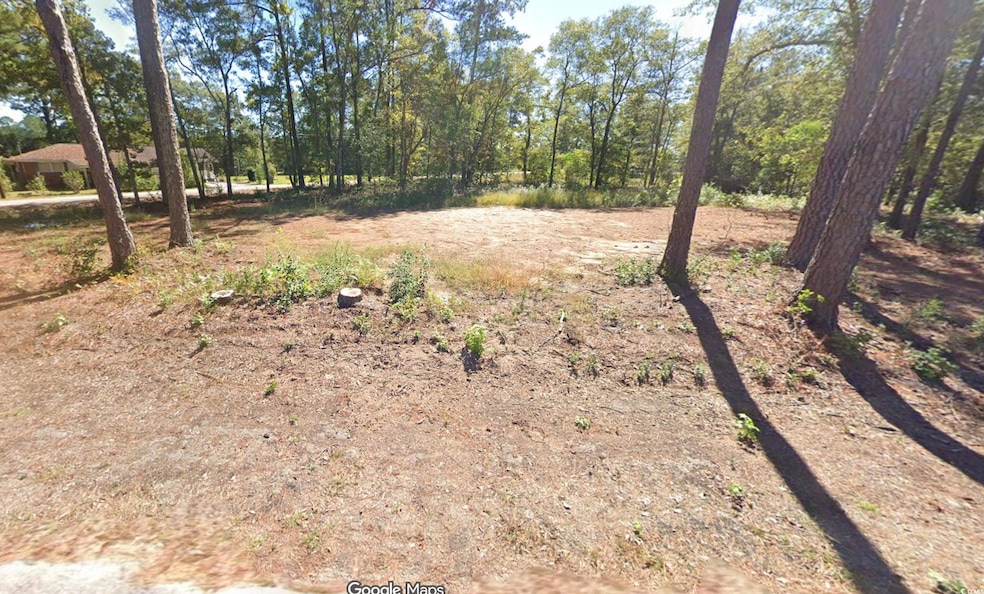 265 Byrnes Cir, Johnsonville, SC 29555 - photo 1