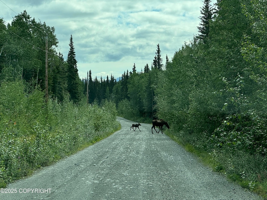 Lot 25 Wrangell Dr, Copper Center, AK 99573 - photo 1