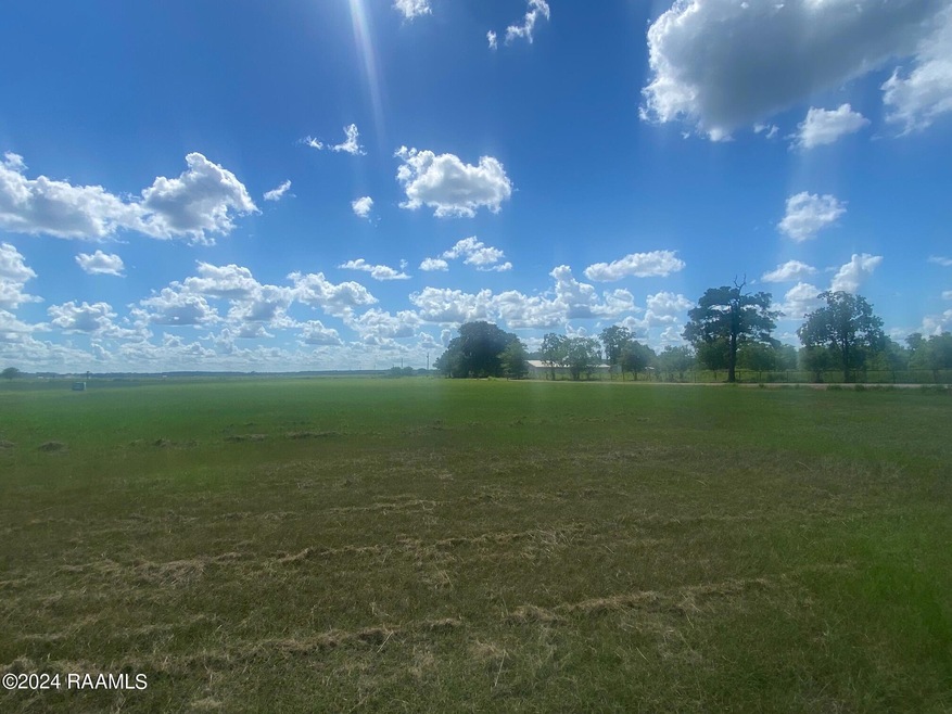 0 Chinaberry Dr, Eunice, LA 70535 - photo 1