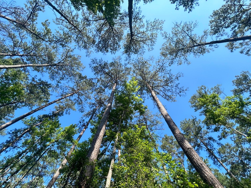 0 Nolan Felder Rd, Magnolia, MS 39652 - photo 1