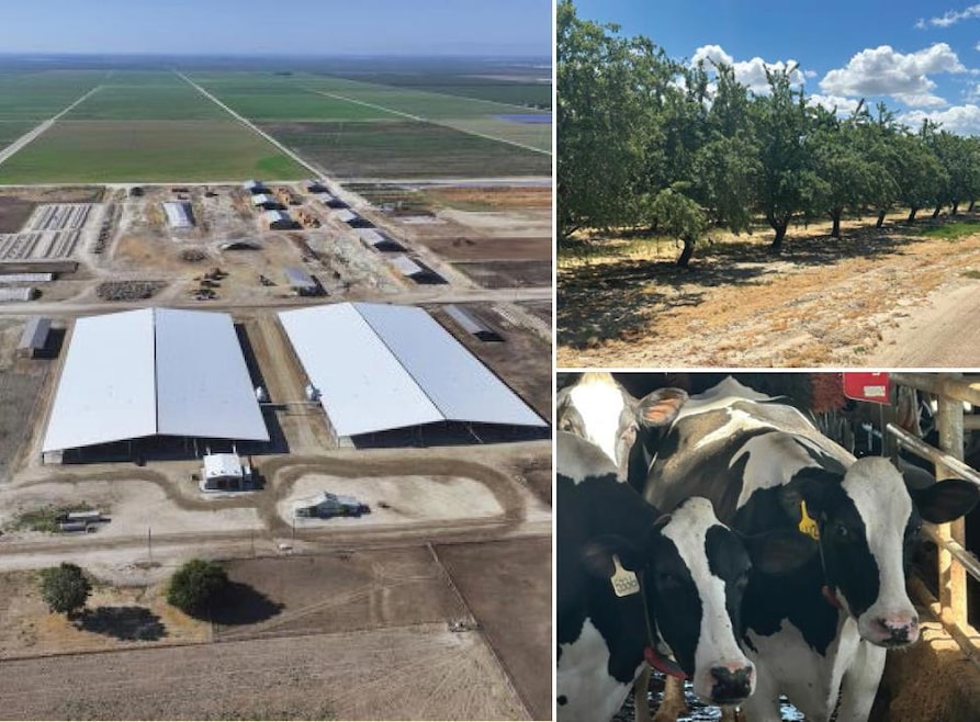 10255 Manning Ave, Fresno, CA 93706 - photo 1