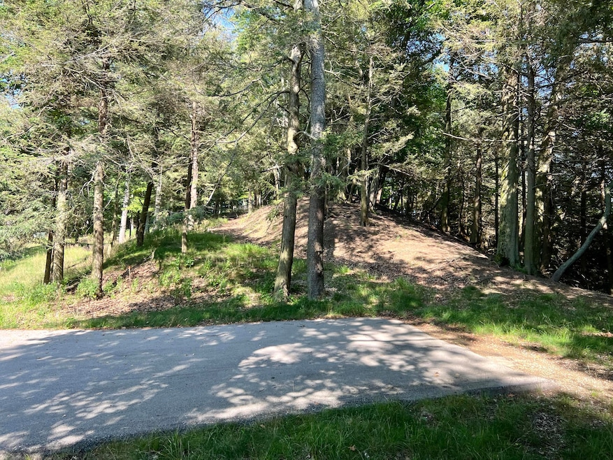 Lot 3 from Roadway