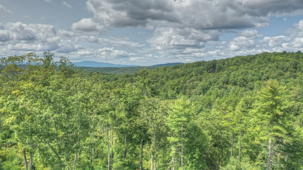 0 Lowery Rd unit 50 ACRES 9035161, Morganton, GA 30560 - photo 1