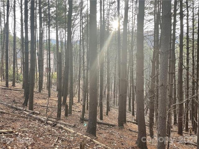 29 Tallwood Rd, Leicester, NC 28748 - photo 1