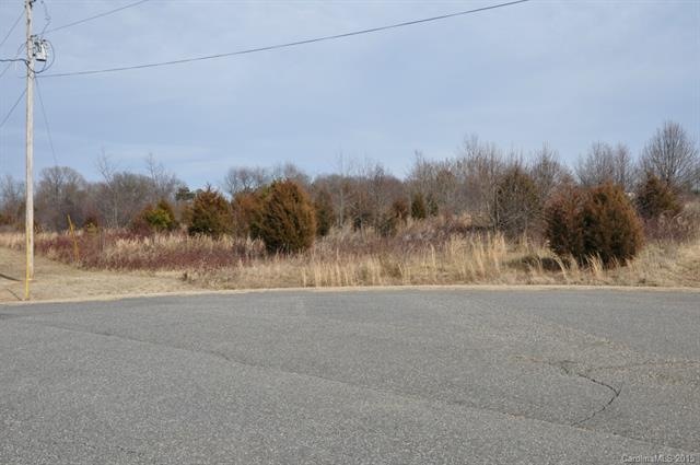 none Maple Lee Ct unit 6, Crouse, NC 28033 - photo 1