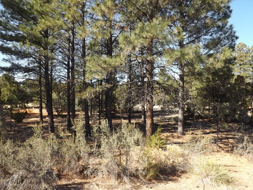 Lookout Lane