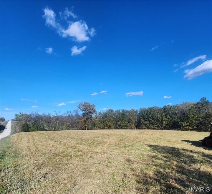 0 County Road 197 (5+ - Acres) unit MIS25074297, Montgomery City, MO 63361 - photo 1