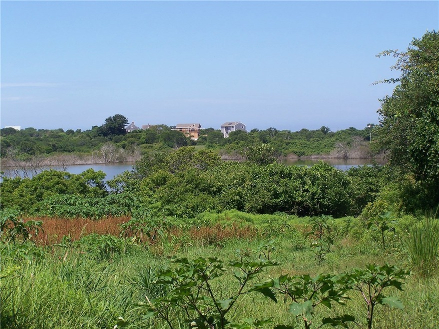 View of pond
