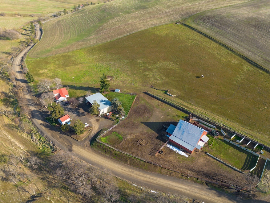 aerial