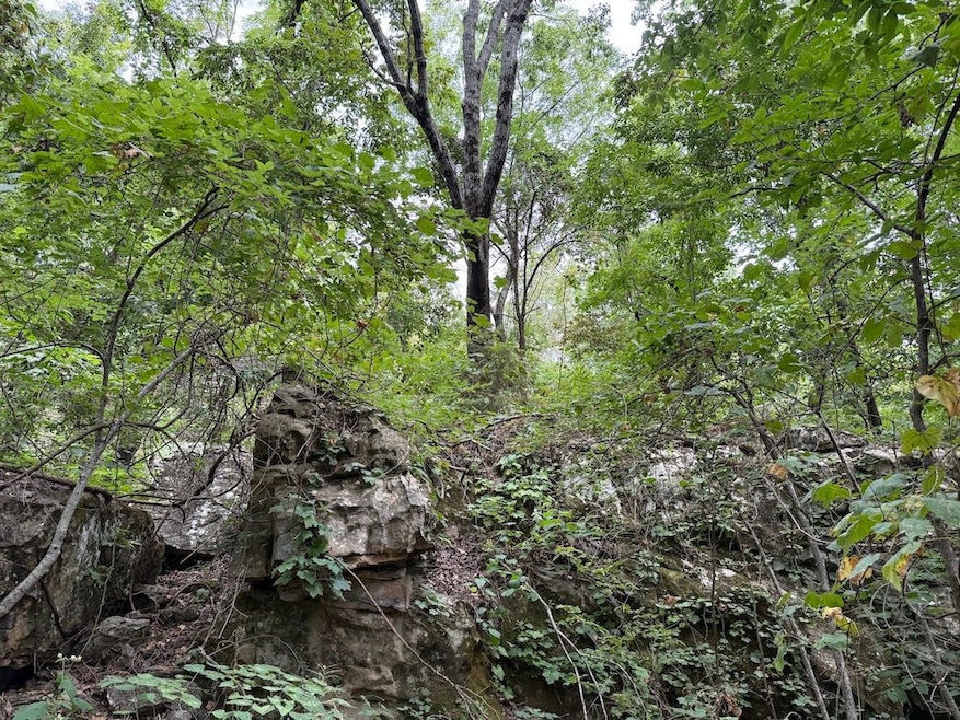 Tract 7 unit Terrapin Rd, Harrison, AR 72601 - photo 1