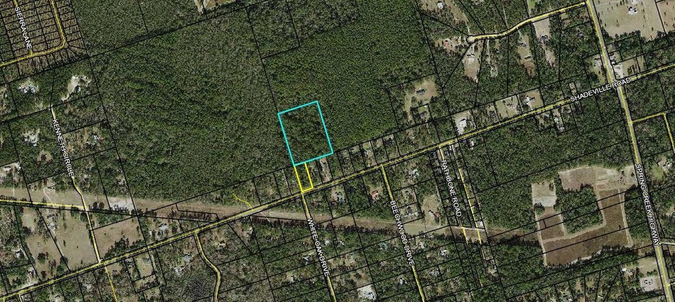 xxx Shadeville Rd, See Remarks, FL 00N/A - photo 1