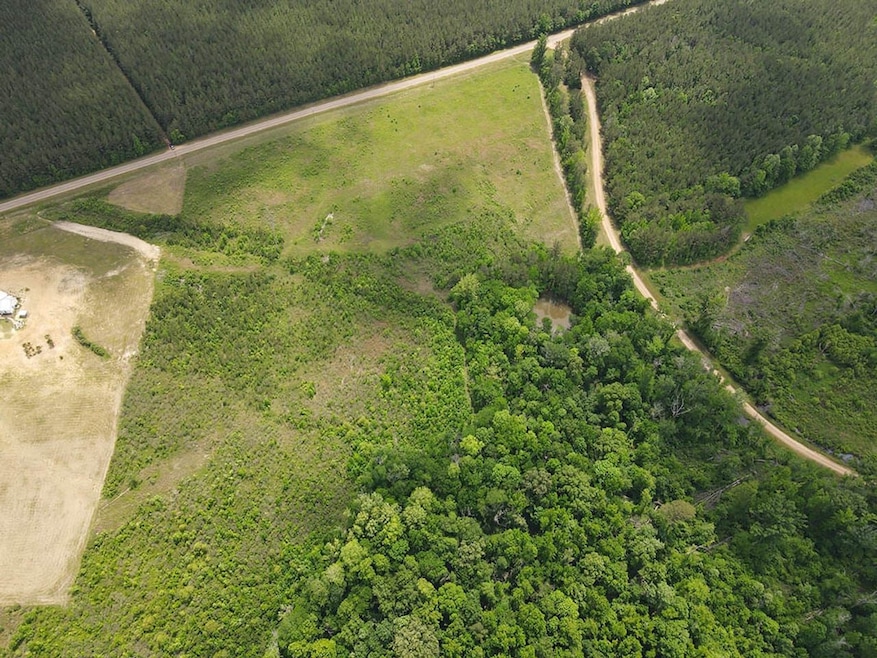 1331 Coal Bluff Rd, Lena, MS 39094 - photo 1