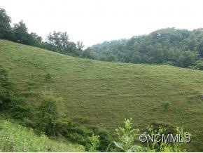Pasture Land or Homesite
