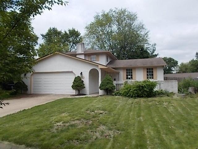 Ashtree 060