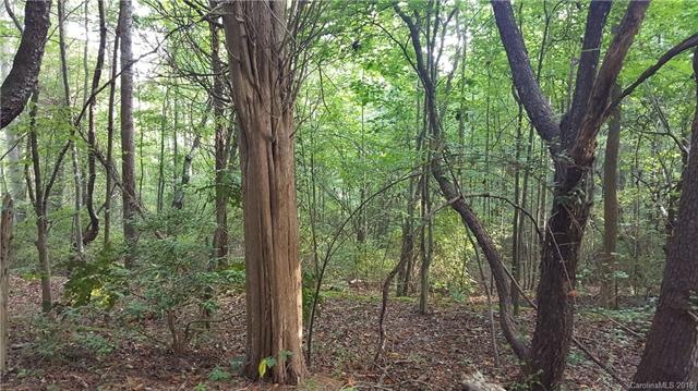Beautiful wooded lot in the LakeWood Community