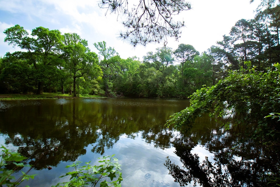 938 Jones Rd, New Waverly, TX 77358 - photo 1