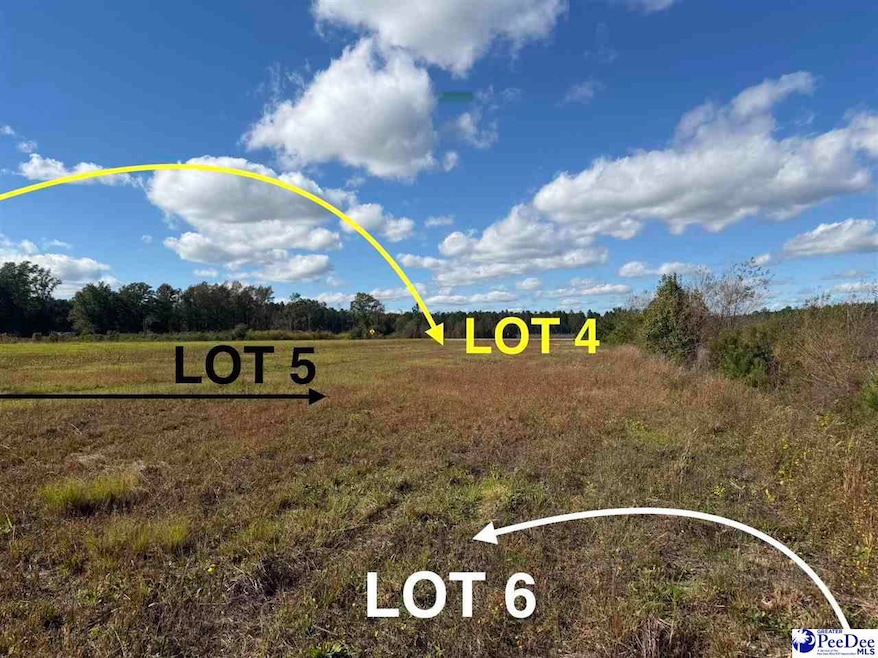 Lot 4 Mallory Beach Rd, Latta, SC 29565 - photo 1