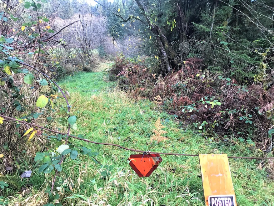 Johnson IMG_8985 (2)