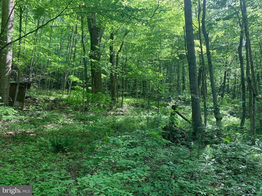 0 Gid Brown Hollow & Pointer Ridge Ln unit VARP107336, Washington, VA 22747 - photo 1