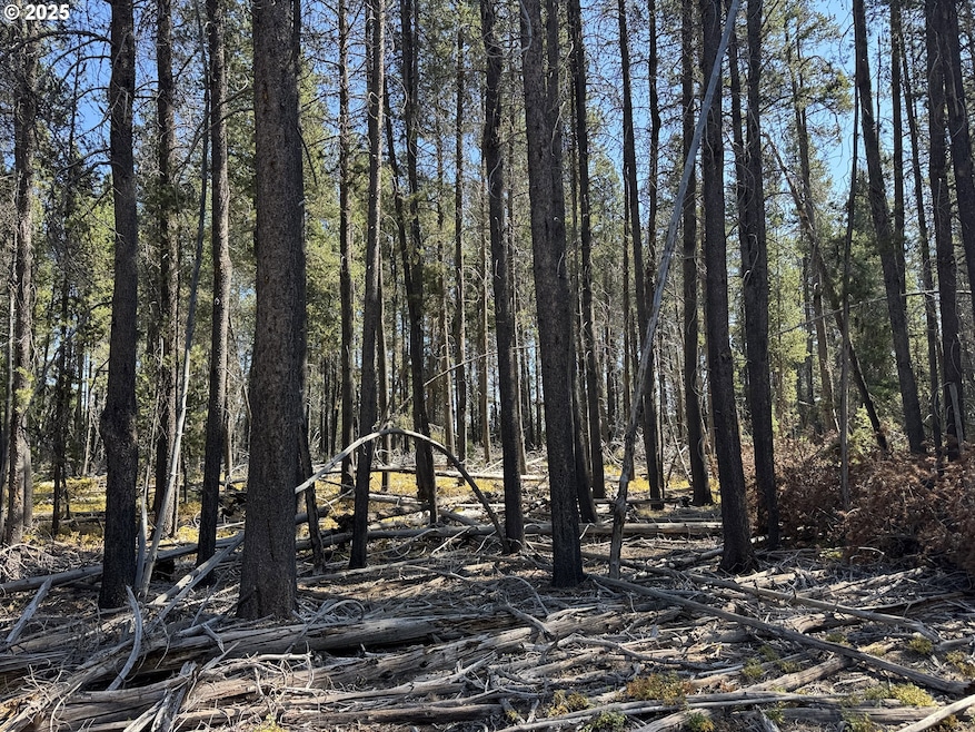 0 Cloudcap Dr unit 6, Chiloquin, OR 97624 - photo 1