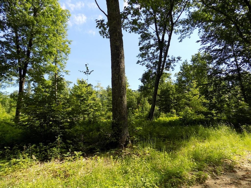 0 Patrill Hollow Rd unit 72021589, Hardwick, MA 01031 - photo 1