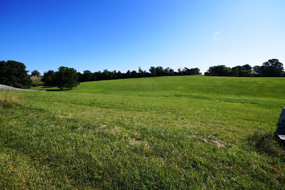 1712 S Songbird Cir, Nixa, MO 65714 - photo 1