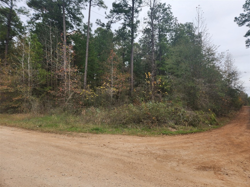 Lot 1 Yupon Branch Ln, Plantersville, TX 77363 - photo 1