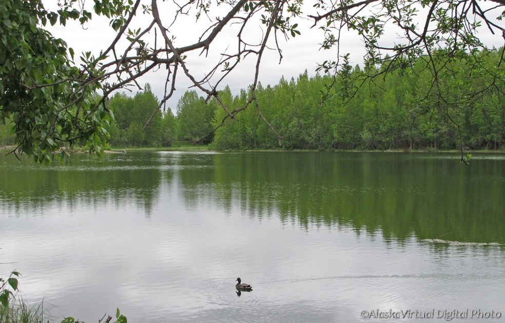 Cheney Lake