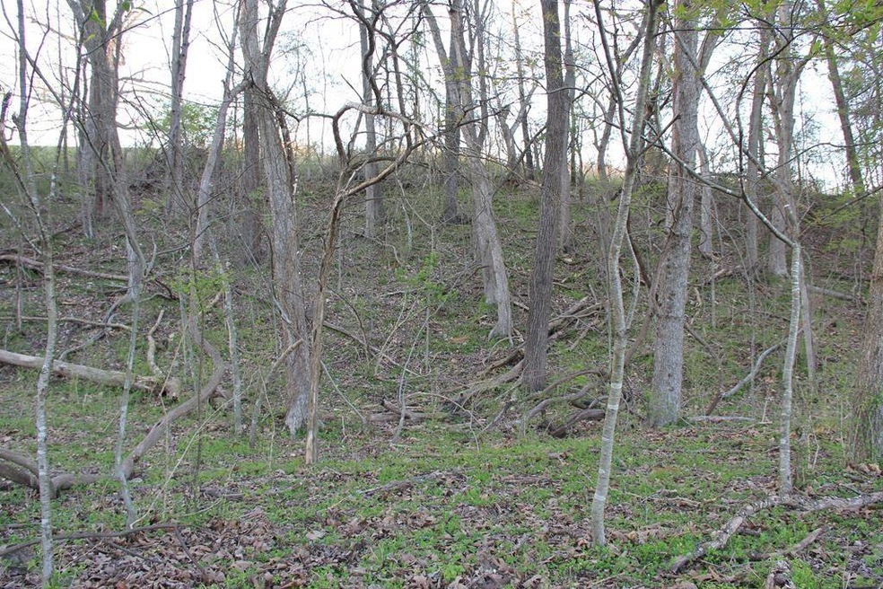 Lot 21 Park Ridge Dr, Lowell, AR 72745 - photo 1