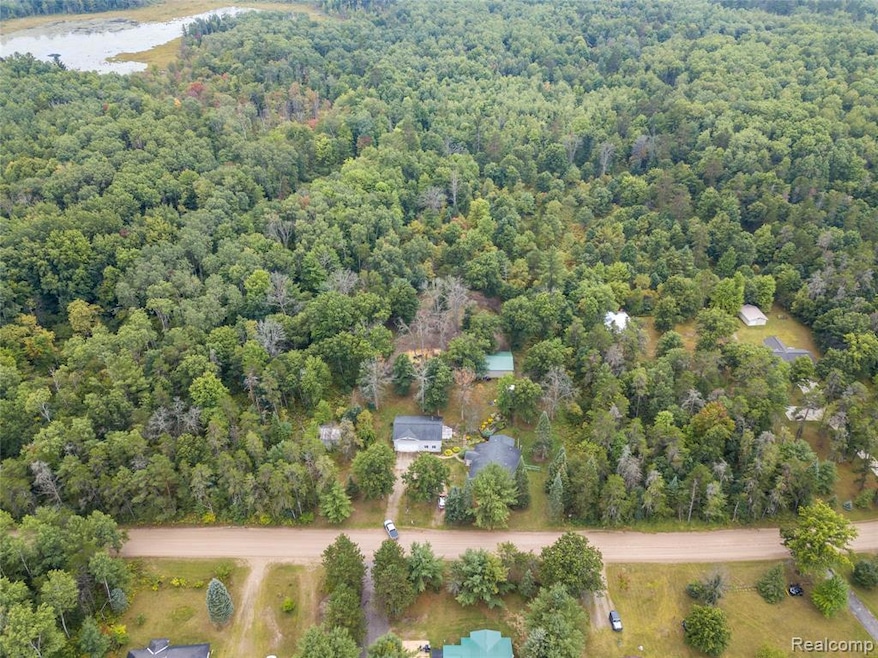 322 E Pere Cheney Rd, Roscommon, MI 48653 - photo 1