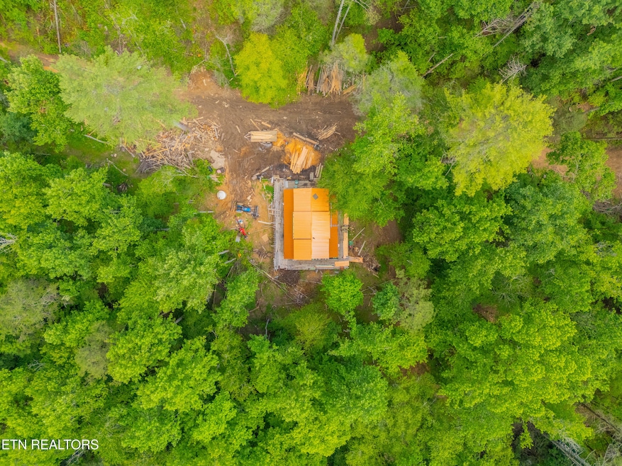 DJI_20250617161017_0040_D-HDR