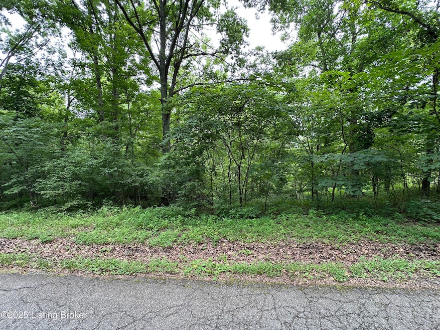 Lot 0 Lakeview Dr, Bloomfield, KY 40008 - photo 1