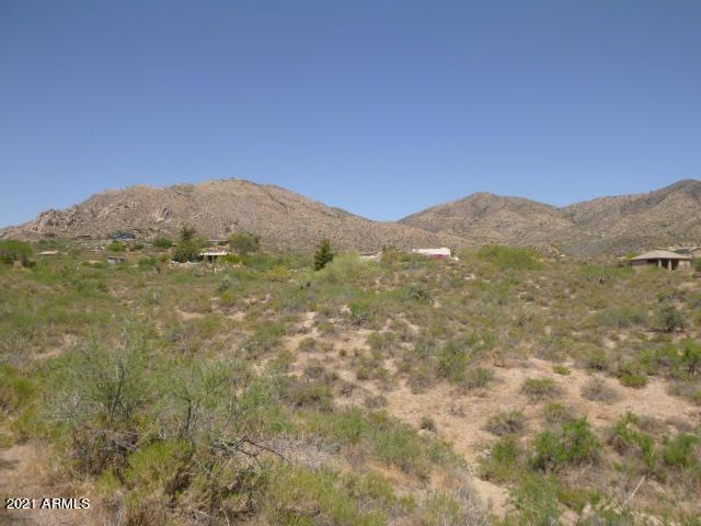 Homes along Blue Wash