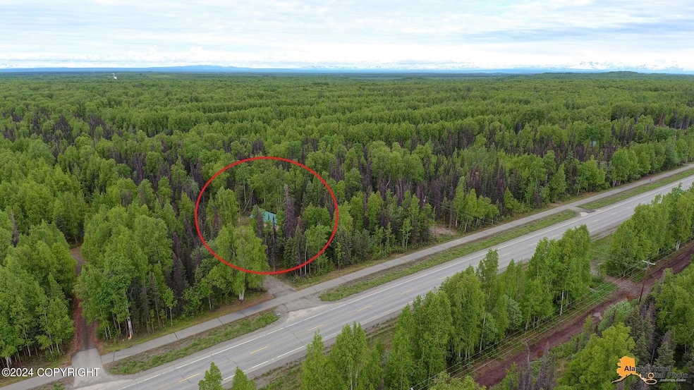 37548 Talkeetna Spur Rd, Talkeetna, AK 99676 - photo 1