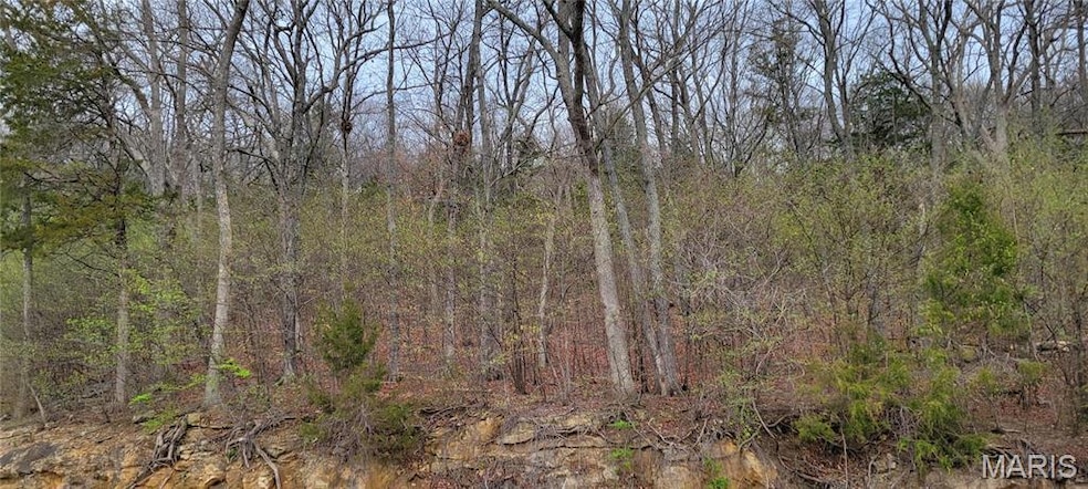 600 N High Post Rd, Augusta, MO 63332 - photo 1