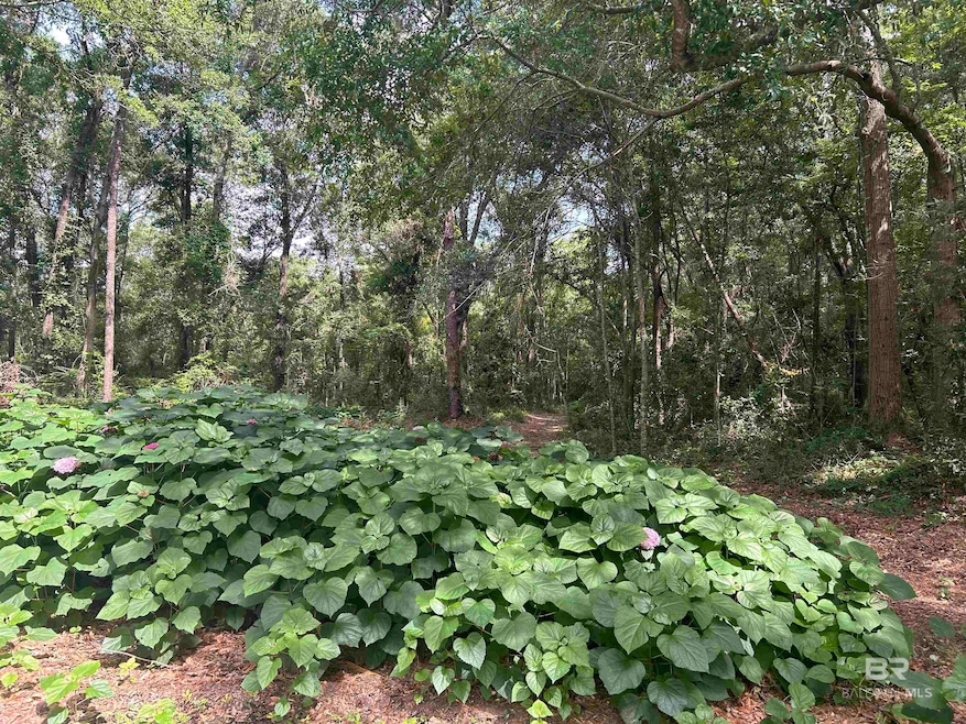 0 Autumn Ridge Dr W, Mobile, AL 36695 - photo 1