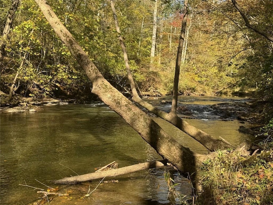 View of nature