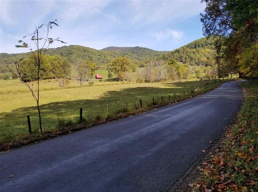 0 Etlan Rd unit 609886, Etlan, VA 22719 - photo 1