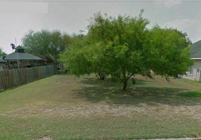 0000 Ray St, Donna, TX 78537 - photo 1