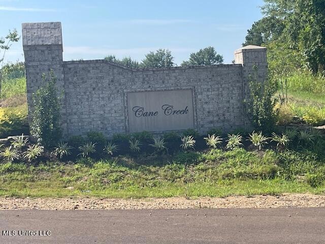 1762 Cane Creek Dr, Hernando, MS 38632 - photo 1